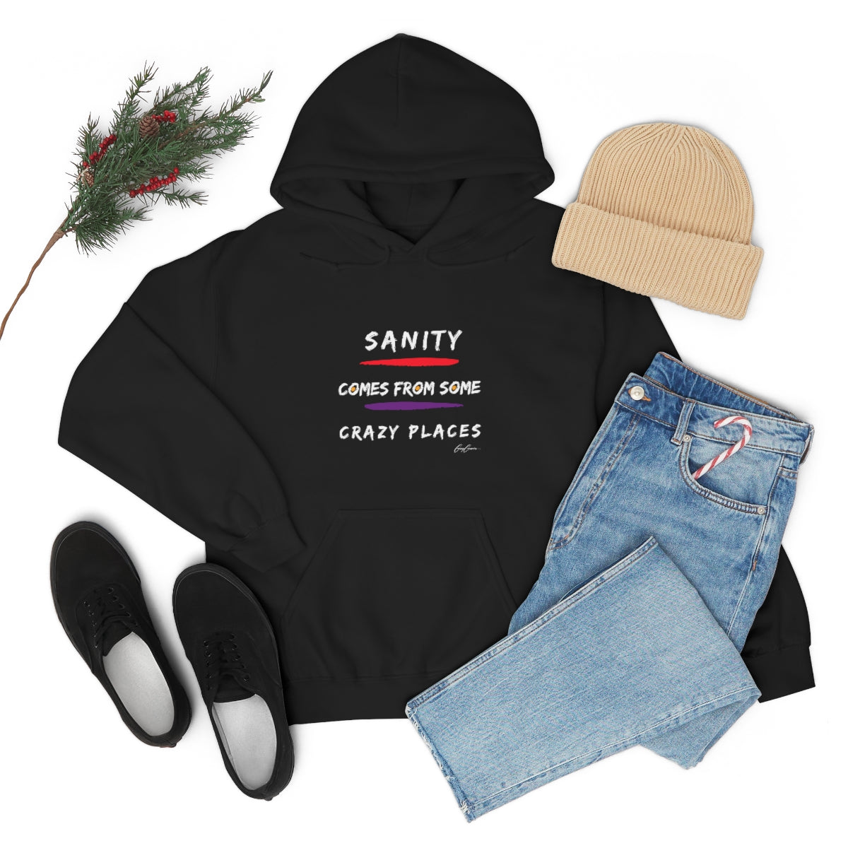 Sanity Comes From Some Crazy Places Unisex Hoodie Sweatshirt, Trendy Hoodies