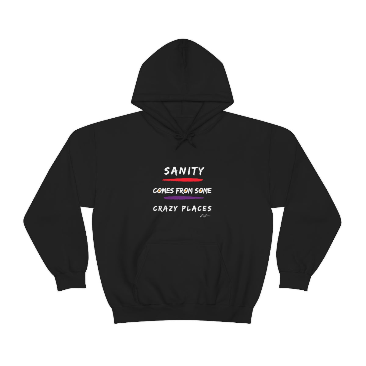 Sanity Comes From Some Crazy Places Unisex Hoodie Sweatshirt, Trendy Hoodies